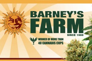 Barneys Farm Shop
